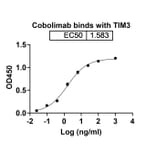 Dose-response - Cobolimab Biosimilar - Anti-TIM 3 Antibody - BSA and Azide free (A338707) - Antibodies.com
