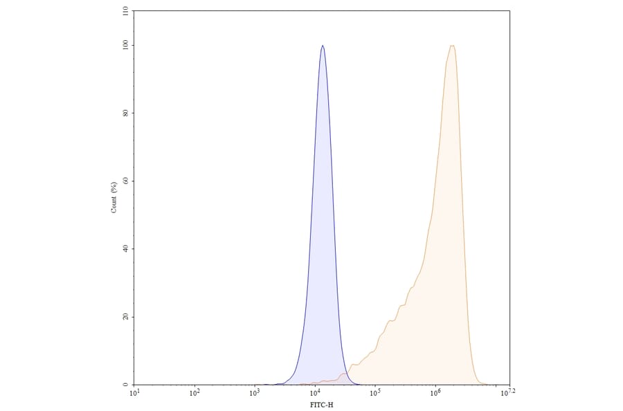 Chromatography profile - Modotuximab Biosimilar - Anti-EGFR Antibody - BSA and Azide free (A338713) - Antibodies.com