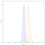 Chromatography profile - Modotuximab Biosimilar - Anti-EGFR Antibody - BSA and Azide free (A338713) - Antibodies.com