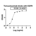 Dose-response - Tomuzotuximab Biosimilar - Anti-EGFR Antibody - BSA and Azide free (A338714) - Antibodies.com