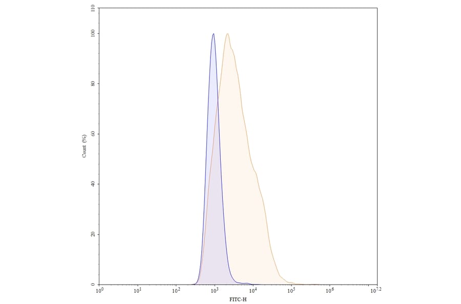 Chromatography profile - Befovacimab Biosimilar - Anti-TFPI Antibody - BSA and Azide free (A338739) - Antibodies.com