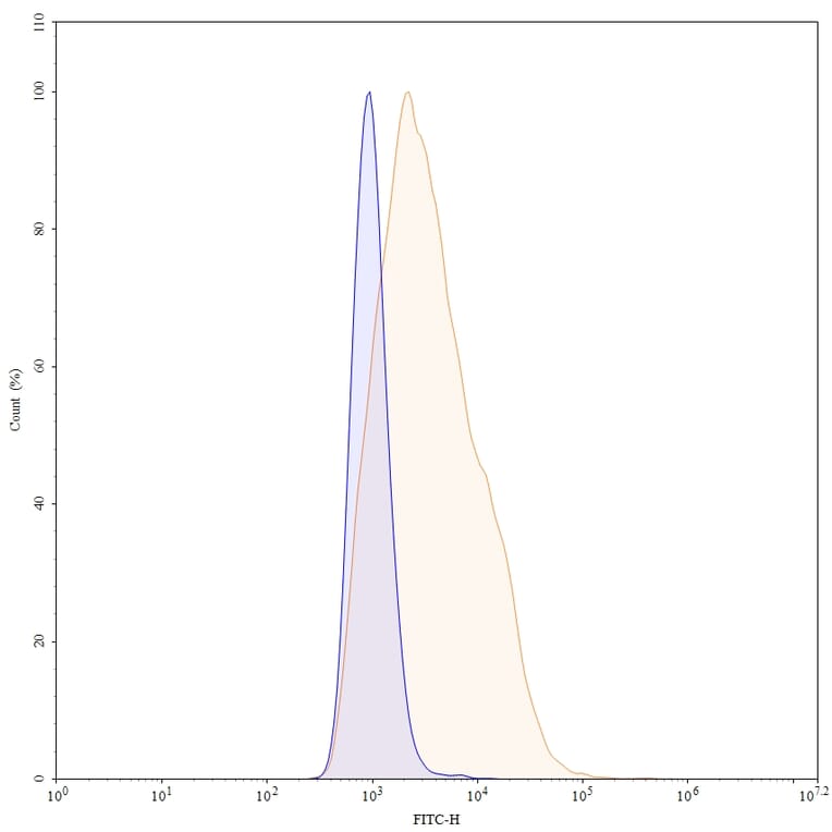 Chromatography profile - Befovacimab Biosimilar - Anti-TFPI Antibody - BSA and Azide free (A338739) - Antibodies.com