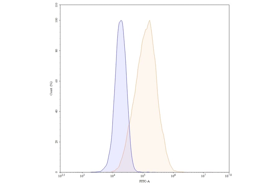 Chromatography profile - Marstacimab Biosimilar - Anti-TFPI Antibody - BSA and Azide free (A338741) - Antibodies.com