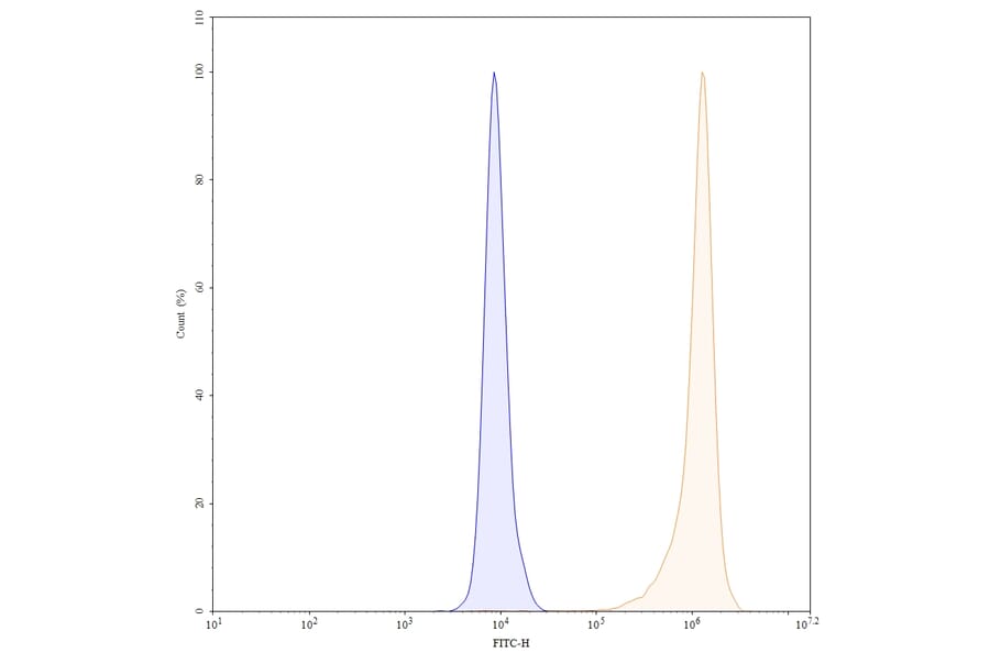 Chromatography profile - Gantenerumab Biosimilar - Anti-APP Antibody - BSA and Azide free (A338745) - Antibodies.com