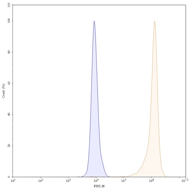 Chromatography profile - Gantenerumab Biosimilar - Anti-APP Antibody - BSA and Azide free (A338745) - Antibodies.com