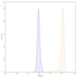 Chromatography profile - Gantenerumab Biosimilar - Anti-APP Antibody - BSA and Azide free (A338745) - Antibodies.com