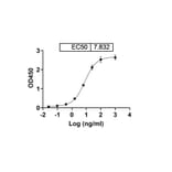 Dose-response - Gosuranemab Biosimilar - Anti-Tau Antibody - BSA and Azide free (A338750) - Antibodies.com