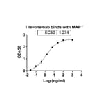 Dose-response - Tilavonemab Biosimilar - Anti-Tau Antibody - BSA and Azide free (A338752) - Antibodies.com