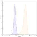 Chromatography profile - Landogrozumab Biosimilar - Anti-Myostatin Antibody - BSA and Azide free (A338775) - Antibodies.com