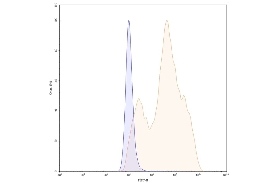 Chromatography profile - Mirvetuximab Biosimilar - Anti-FOLR1 Antibody - BSA and Azide free (A338794) - Antibodies.com