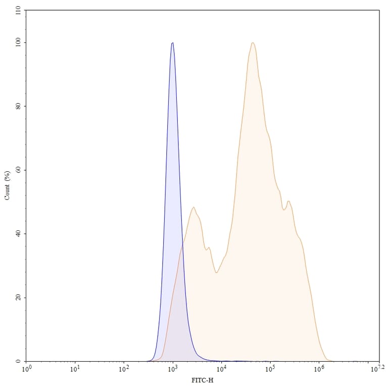 Chromatography profile - Mirvetuximab Biosimilar - Anti-FOLR1 Antibody - BSA and Azide free (A338794) - Antibodies.com