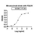 Dose-response - Mirvetuximab Biosimilar - Anti-FOLR1 Antibody - BSA and Azide free (A338794) - Antibodies.com