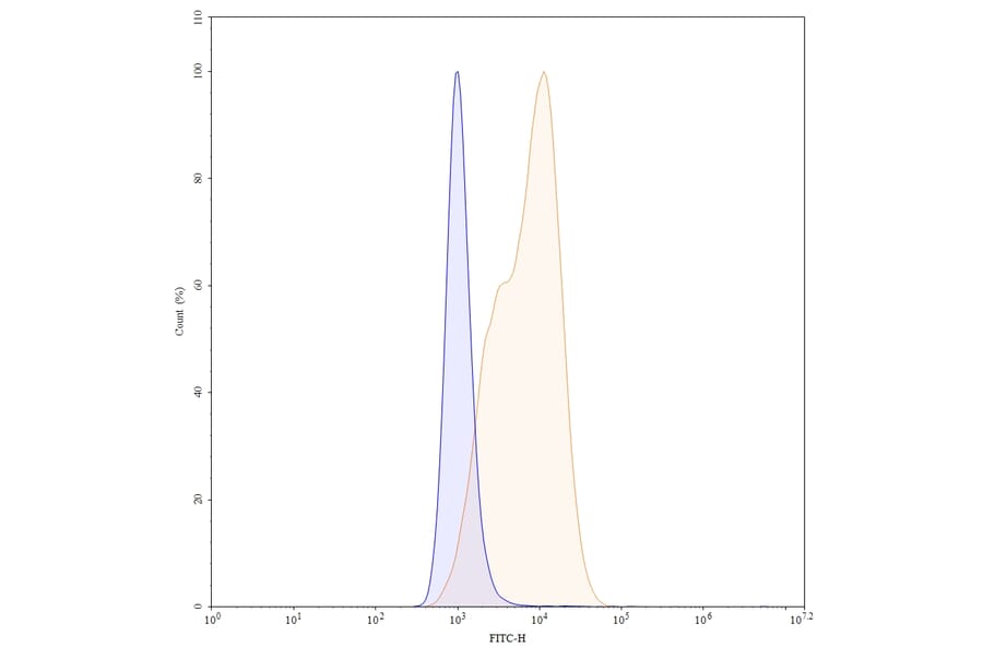 Chromatography profile - Anetumab Biosimilar - Anti-Mesothelin Antibody - BSA and Azide free (A338805) - Antibodies.com