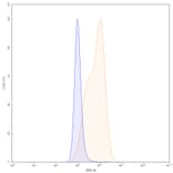 Chromatography profile - Anetumab Biosimilar - Anti-Mesothelin Antibody - BSA and Azide free (A338805) - Antibodies.com