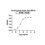 Dose-response - Amatuximab Biosimilar - Anti-Mesothelin Antibody - BSA and Azide free (A338806) - Antibodies.com