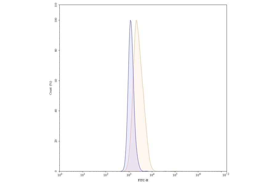 Chromatography profile - Enapotamab Biosimilar - Anti-Axl Antibody - BSA and Azide free (A338809) - Antibodies.com