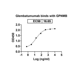 Dose-response - Glembatumumab Biosimilar - Anti-GPNMB Antibody - BSA and Azide free (A338819) - Antibodies.com