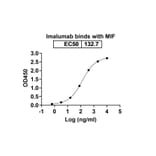 Dose-response - Imalumab Biosimilar - Anti-MIF Antibody - BSA and Azide free (A338823) - Antibodies.com