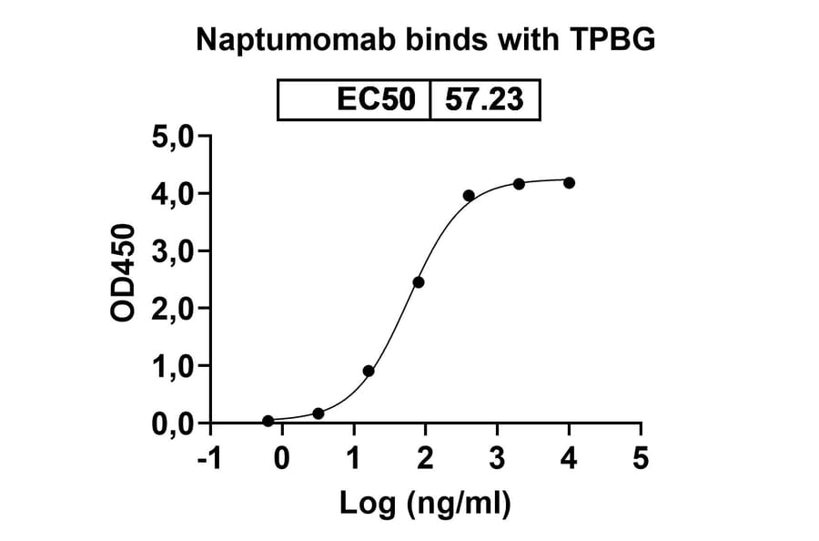 Dose-response - Naptumomab Biosimilar - Anti-5T4 Antibody - BSA and Azide free (A338830) - Antibodies.com