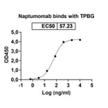 Dose-response - Naptumomab Biosimilar - Anti-5T4 Antibody - BSA and Azide free (A338830) - Antibodies.com