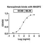 Dose-response - Narsoplimab Biosimilar - Anti-MASP2 Antibody - BSA and Azide free (A338831) - Antibodies.com