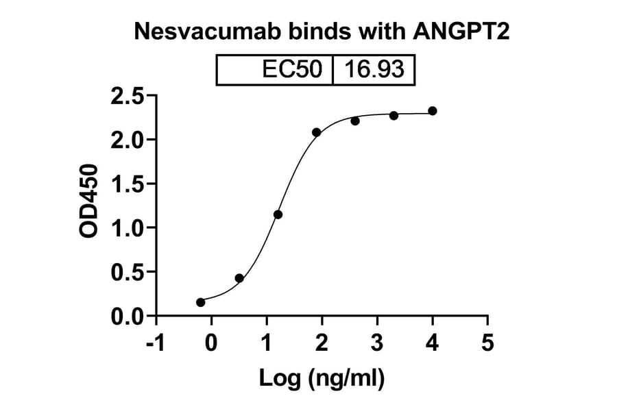 SDS-PAGE - Nesvacumab Biosimilar - Anti-Angiopoietin 2 Antibody - BSA and Azide free (A338834) - Antibodies.com