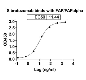 Dose-response - Sibrotuzumab Biosimilar - Anti-FAP Antibody - BSA and Azide free (A338850) - Antibodies.com
