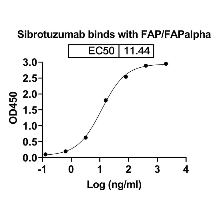 Dose-response - Sibrotuzumab Biosimilar - Anti-FAP Antibody - BSA and Azide free (A338850) - Antibodies.com