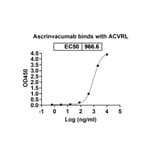 Dose-response - Ascrinvacumab Biosimilar - Anti-ACVRL1 Antibody - BSA and Azide free (A338862) - Antibodies.com