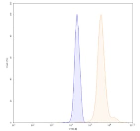 Chromatography profile - Clervonafusp Alfa Biosimilar - Anti-ENT2 Antibody - BSA and Azide free (A338864) - Antibodies.com