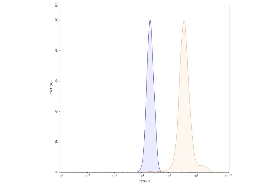 Chromatography profile - Clervonafusp Alfa Biosimilar - Anti-ENT2 Antibody - BSA and Azide free (A338864) - Antibodies.com