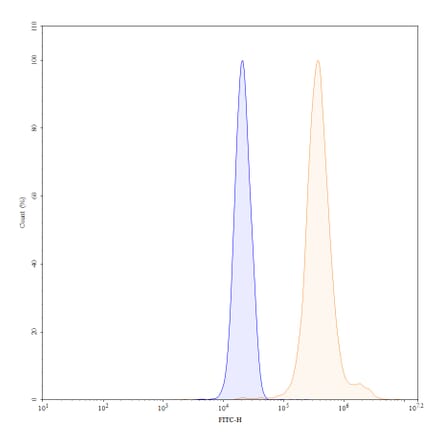 Chromatography profile - Clervonafusp Alfa Biosimilar - Anti-ENT2 Antibody - BSA and Azide free (A338864) - Antibodies.com