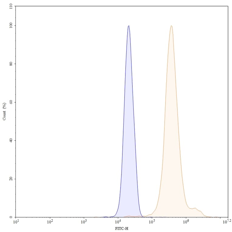 Chromatography profile - Clervonafusp Alfa Biosimilar - Anti-ENT2 Antibody - BSA and Azide free (A338864) - Antibodies.com