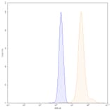 Chromatography profile - Clervonafusp Alfa Biosimilar - Anti-ENT2 Antibody - BSA and Azide free (A338864) - Antibodies.com