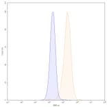 Chromatography profile - Codrituzumab Biosimilar - Anti-Glypican 3 Antibody - BSA and Azide free (A338865) - Antibodies.com