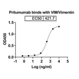 Dose-response - Pritumumab Biosimilar - Anti-Vimentin Antibody - BSA and Azide free (A338880) - Antibodies.com