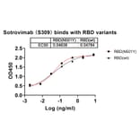 Dose-response - Sotrovimab Biosimilar - Anti-SARS-CoV-2 Spike Protein RBD Antibody - BSA and Azide free (A338905) - Antibodies.com