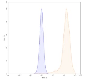 Chromatography profile - Daclizumab Biosimilar - Anti-CD25 Antibody - BSA and Azide free (A338962) - Antibodies.com