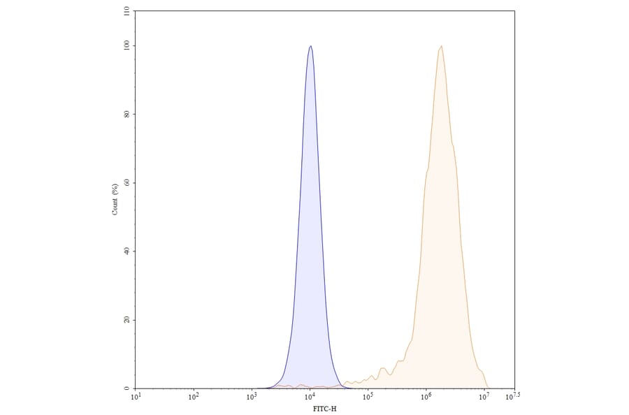 Chromatography profile - Daclizumab Biosimilar - Anti-CD25 Antibody - BSA and Azide free (A338962) - Antibodies.com