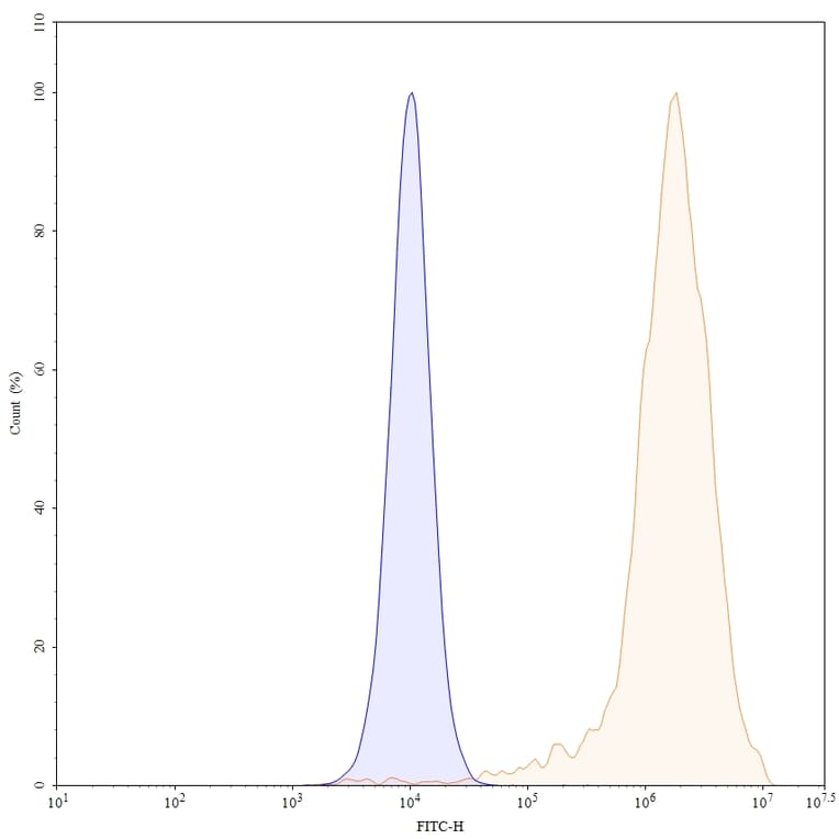 Chromatography profile - Daclizumab Biosimilar - Anti-CD25 Antibody - BSA and Azide free (A338962) - Antibodies.com