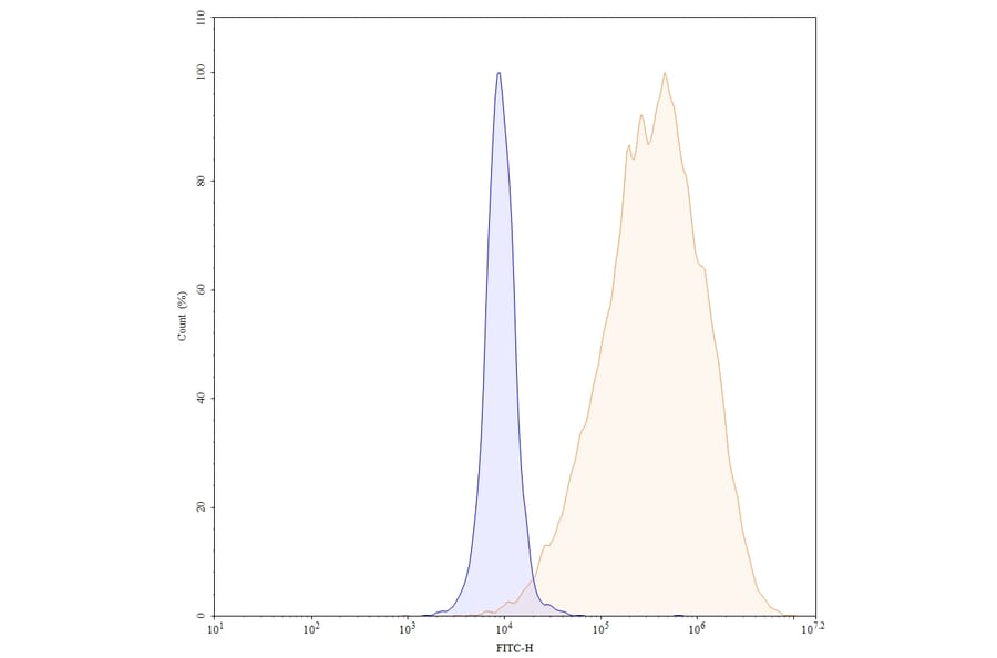 Chromatography profile - Alemtuzumab Biosimilar - Anti-CD52 Antibody - BSA and Azide free (A338965) - Antibodies.com