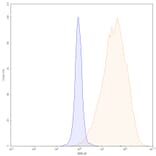 Chromatography profile - Alemtuzumab Biosimilar - Anti-CD52 Antibody - BSA and Azide free (A338965) - Antibodies.com