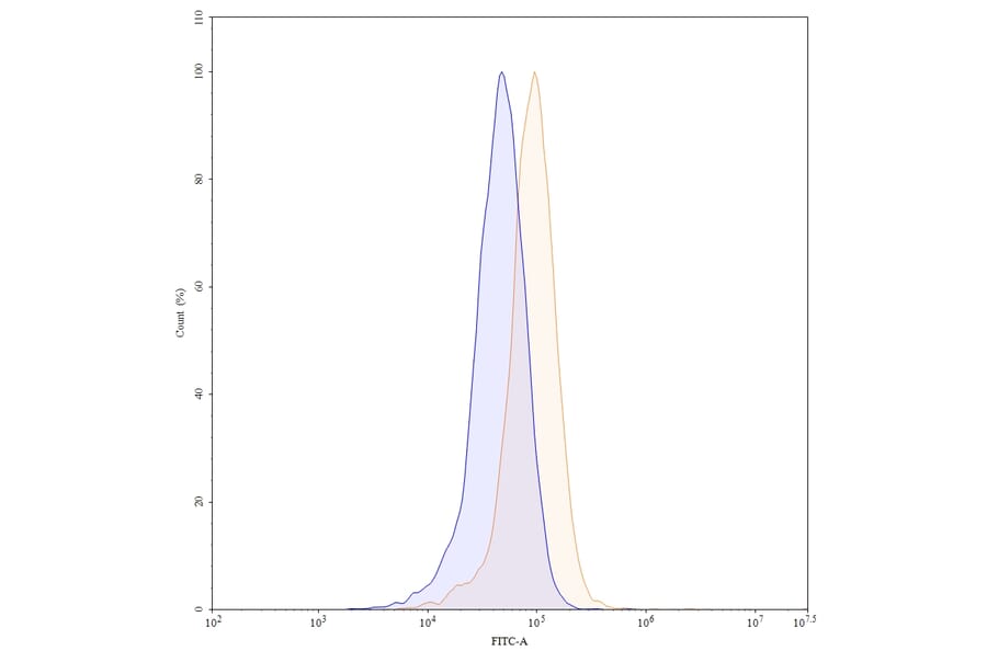 Chromatography profile - Bevacizumab Biosimilar - Anti-VEGFA Antibody - BSA and Azide free (A338968) - Antibodies.com