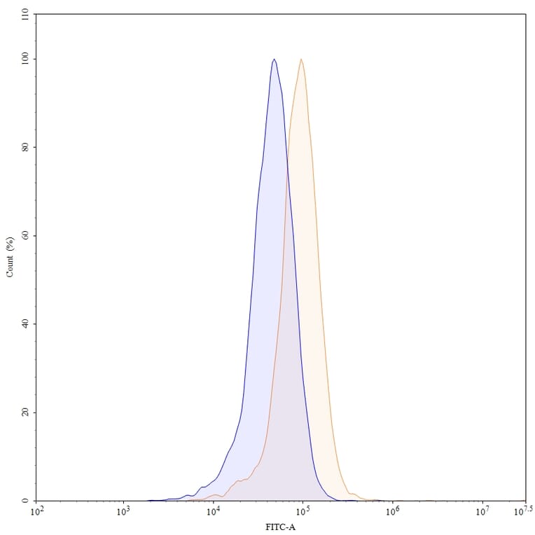 Chromatography profile - Bevacizumab Biosimilar - Anti-VEGFA Antibody - BSA and Azide free (A338968) - Antibodies.com