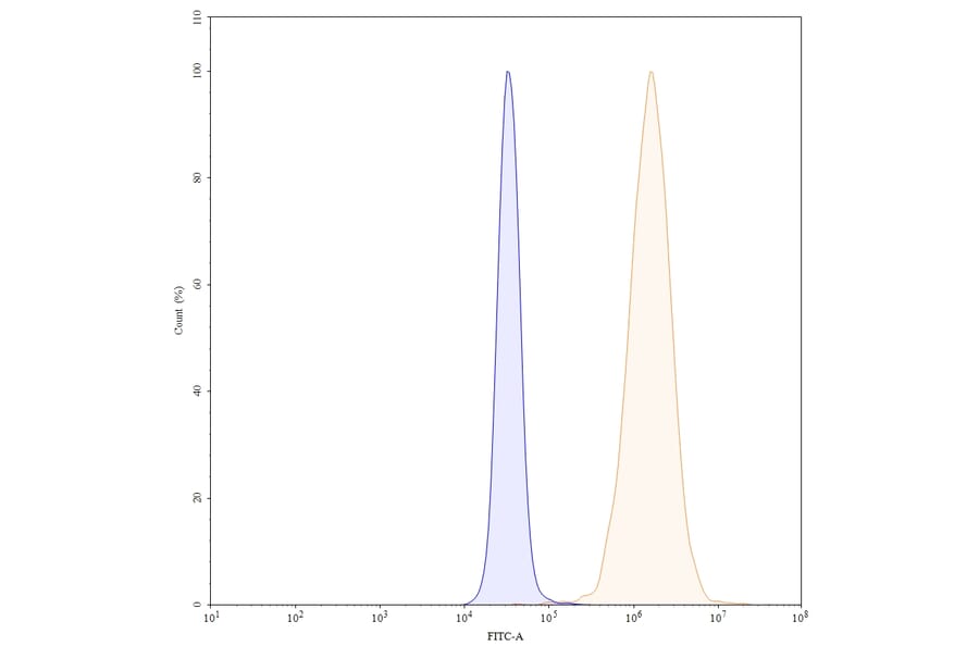Chromatography profile - Panitumumab Biosimilar - Anti-EGFR Antibody - BSA and Azide free (A338970) - Antibodies.com