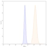 Chromatography profile - Panitumumab Biosimilar - Anti-EGFR Antibody - BSA and Azide free (A338970) - Antibodies.com