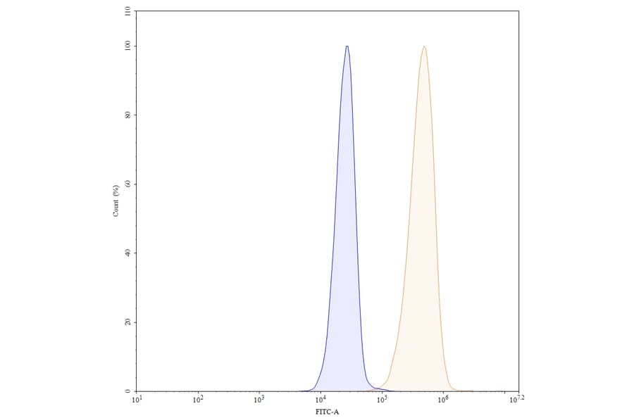 Chromatography profile - Panitumumab Biosimilar - Anti-EGFR Antibody - BSA and Azide free (A338970) - Antibodies.com