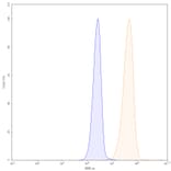 Chromatography profile - Panitumumab Biosimilar - Anti-EGFR Antibody - BSA and Azide free (A338970) - Antibodies.com