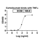 Chromatography profile - Certolizumab Biosimilar - Anti-TNF alpha Antibody - BSA and Azide free (A338973) - Antibodies.com