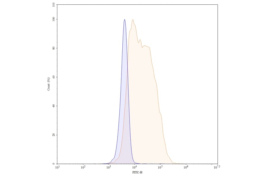 Chromatography profile - Certolizumab Biosimilar - Anti-TNF alpha Antibody - BSA and Azide free (A338973) - Antibodies.com